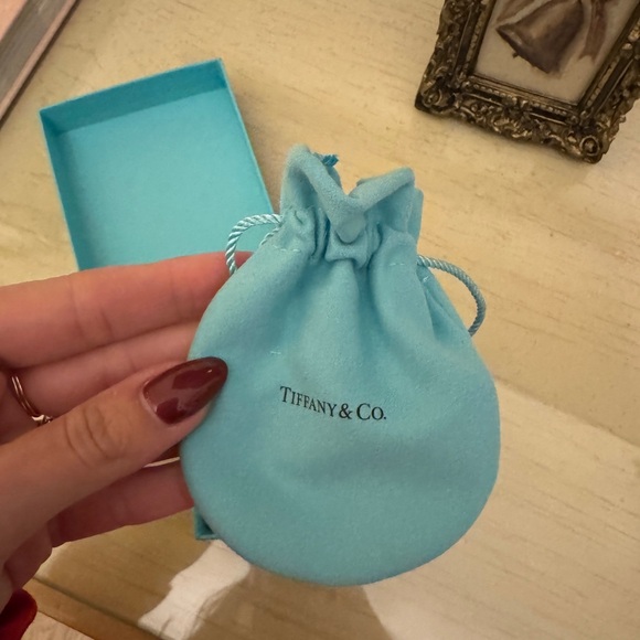 Tiffany & Co Elsa Peretti Diamond Hoop Earring - Picture 7 of 11